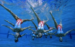 2026世界杯中国队 - 2026世界杯中国队预选赛成绩(最新)